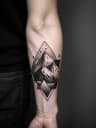 Black and gray